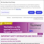 trazimera.com