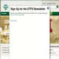 treefarmsystem.org treefarmsystem.org