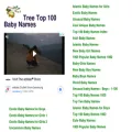 treetop100babynames.com treetop100babynames.com
