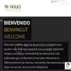 triangulo-msc.com