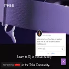 tribexr.com tribexr.com
