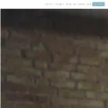 triib.com triib.com