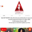 trinitydesignsinc.com trinitydesignsinc.com