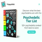trippywiki.com