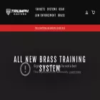 triumph-systems.com triumph-systems.com