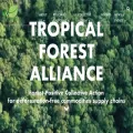 tropicalforestalliance.org