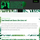tropicalislands.net