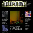 truechiptilldeath.com truechiptilldeath.com