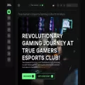 truegamers.world truegamers.world