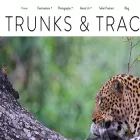trunksandtracks.com trunksandtracks.com