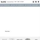 trysuri.com
