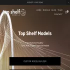 tsmfinancialmodels.com
