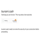 tsunami.cash tsunami.cash