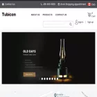 tubicenlighting.com