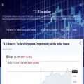 tubinvesting.com