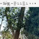 tugbacabutik.com
