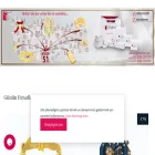 tugrulaltin.com