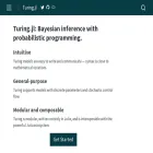 turinglang.org turinglang.org