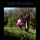 turtlehill.org
