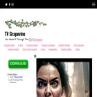 tvgrapevine.com tvgrapevine.com