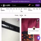 twigbig.com