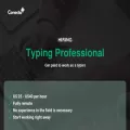 typingprofessionalus.com