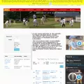 uajcl.play-cricket.com