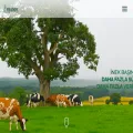 ulusoyseed.com.tr ulusoyseed.com.tr