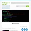 undergradinthelab.com undergradinthelab.com