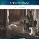 undertheaurora.com undertheaurora.com