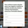 unileverfoodsolutions.com.br