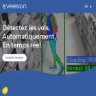 veesion.io veesion.io