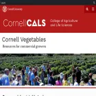 vegetables.cornell.edu vegetables.cornell.edu