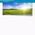vergelijkerz.nl