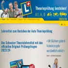 verkehrstheorie.ch
