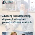 vetcancersociety.org