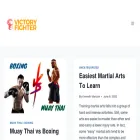 victoryfighter.com