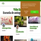 vidaensalud.es