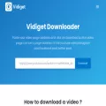 vidiget.com