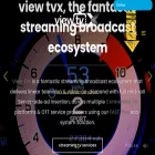 viewtvgroup.com