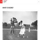 vigoro.com.au