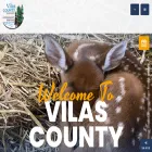 vilascountywi.gov