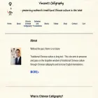 vincentpoon.com vincentpoon.com