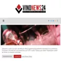 vinonews24.it