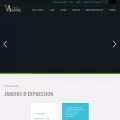 vinsalsace.com vinsalsace.com