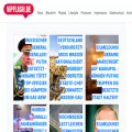 vipflash.de vipflash.de