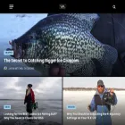 virtualangling.com