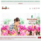 viverosshangai.es viverosshangai.es