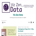 vizzendata.com
