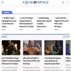 voiceofarticle.com